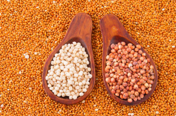 Commodum Handel - Agro-Commodities - Grains - Sorghum