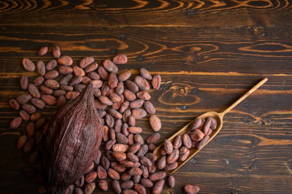 Commodum Handel - Agro-Commodities - Cocoa Pod and Beans Seed