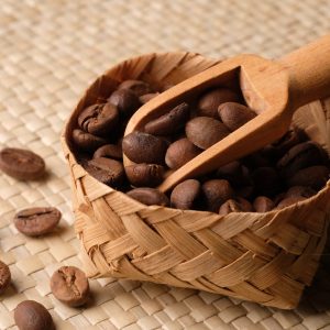 Commodum Handel - Agro-Commodities - Cocoa Beans Seed