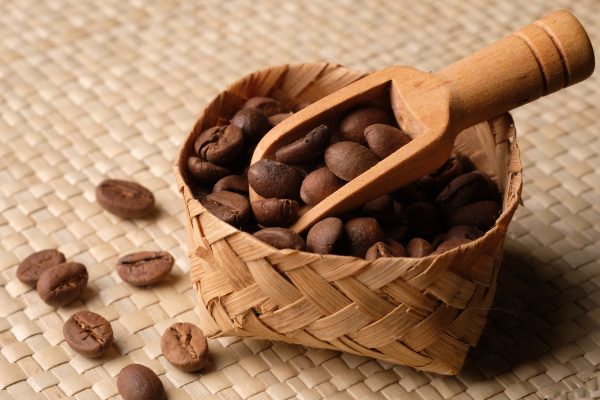 Commodum Handel - Agro-Commodities - Cocoa Beans Seed