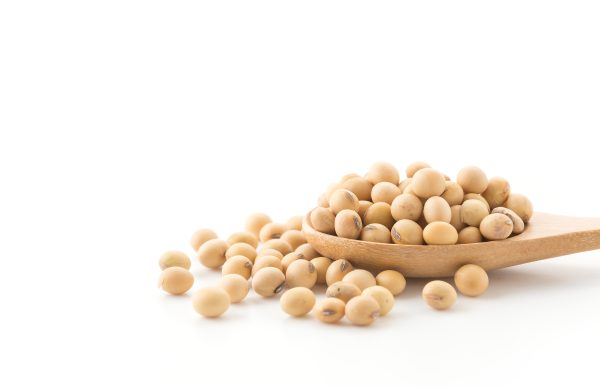 Commodum Handel - Agro-Commodities - Legumes - Soy Beans